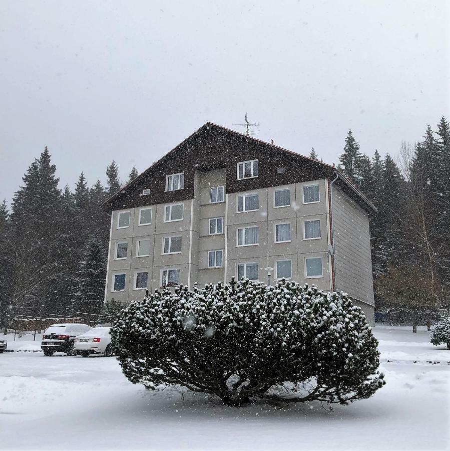 Apartman U Lesa, Srni 119 Екстер'єр фото